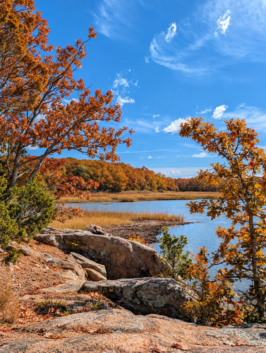 Walk & Shoot Golden Hour Session at Jarvis Creek Farm | Monday 11.3.26 from 3:45-4:45PM