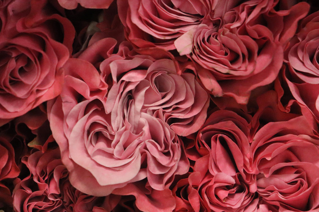 Cynthia's Flower Shop