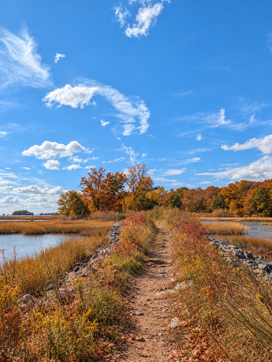Walk & Shoot Golden Hour Session at Jarvis Creek Farm | Monday 11.3.26 from 3:45-4:45PM